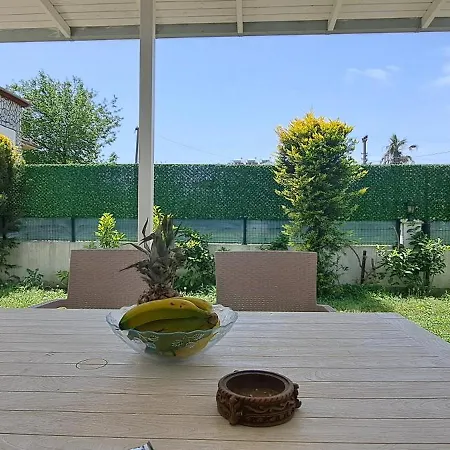 Ebrar Dalyan Μούγκλα