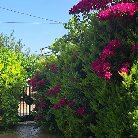Ebrar Dalyan Villa